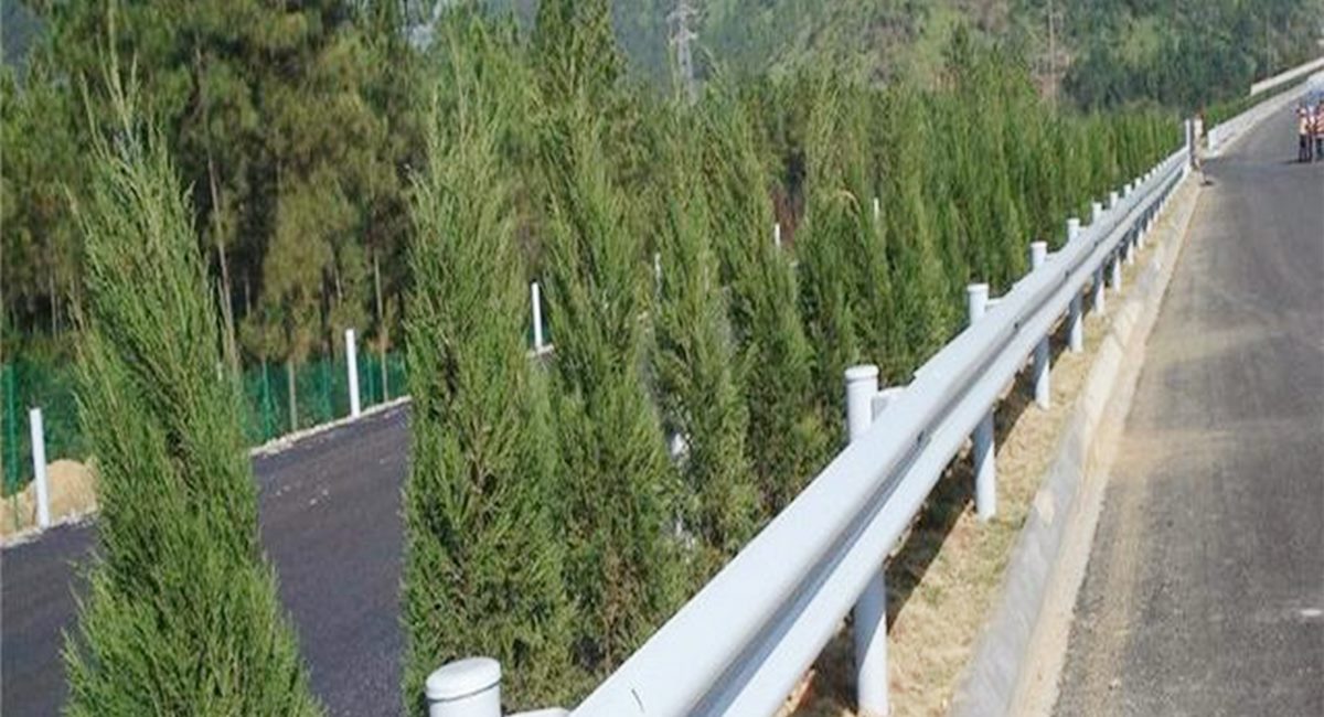 波形護欄板、鄉(xiāng)村道路護欄、單波護欄板世騰加工定制